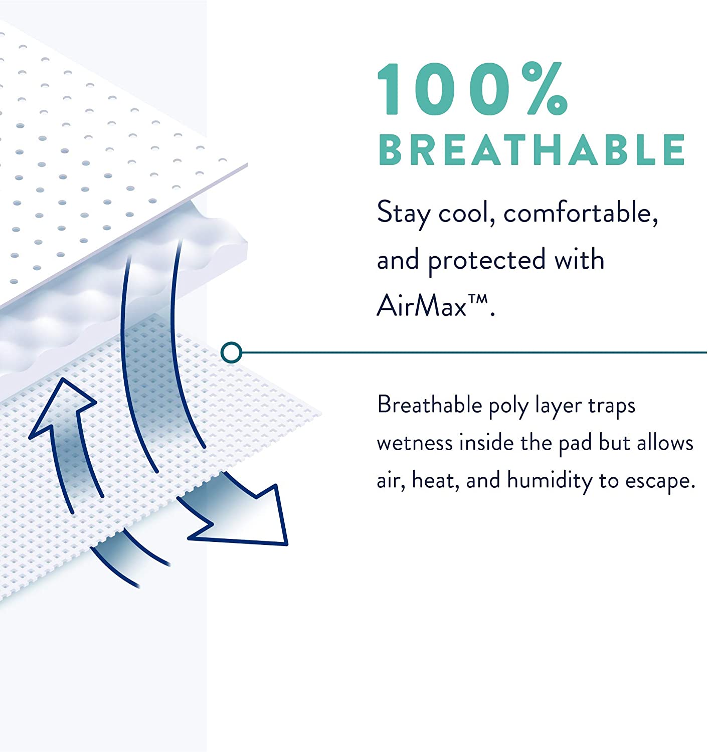 Prevail Moderate Absorbency Male Guards