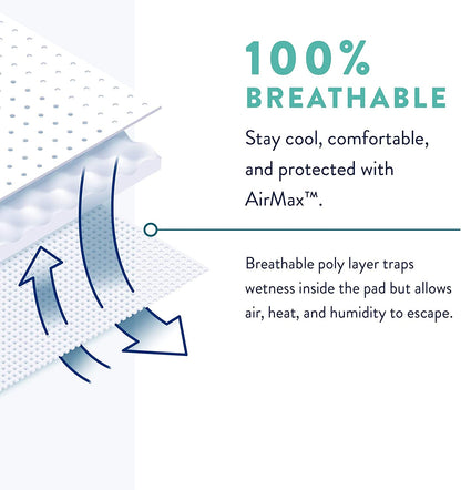 Prevail Moderate Absorbency Male Guards